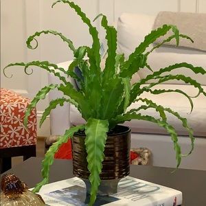 Meet your Posher, Ginny